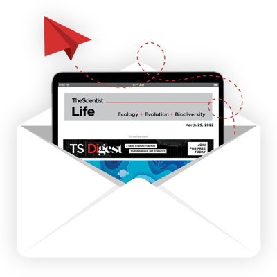 A tablet with a Research Area Newsletter popping out of an envelope